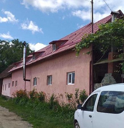Casa Boierului Imbri Villa Cartisoara Exterior photo