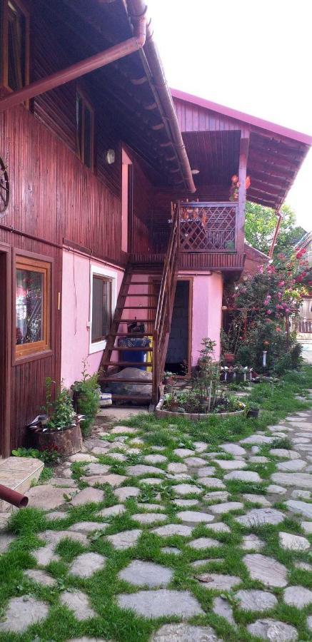 Casa Boierului Imbri Villa Cartisoara Exterior photo